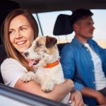 ventajas de viajar con un perro